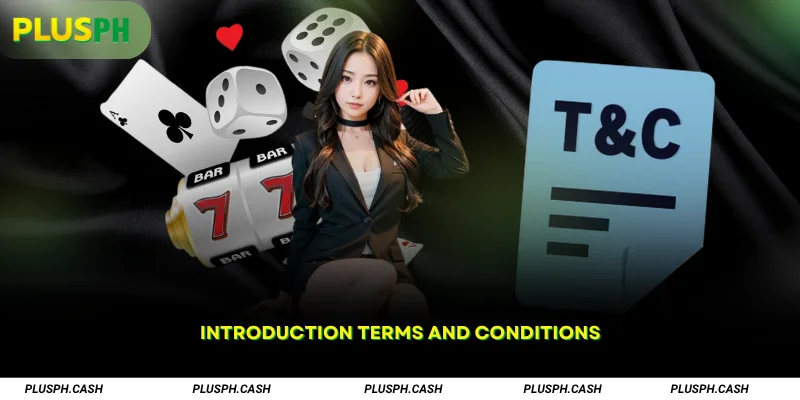 Introduction Terms and Conditions