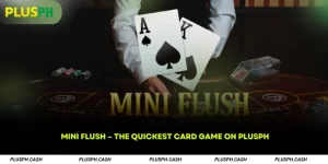Mini Flush